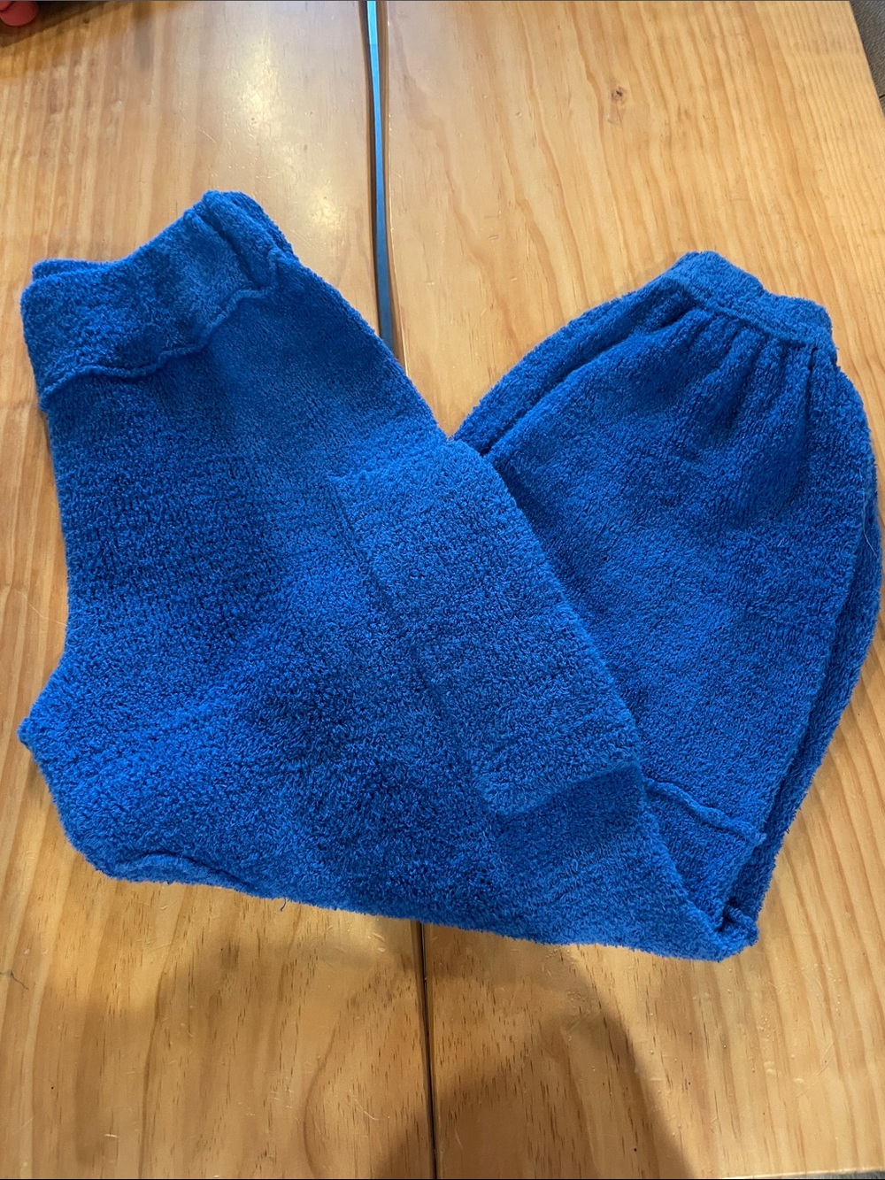 Free People Plush Blue Women's Sweater Joggers
